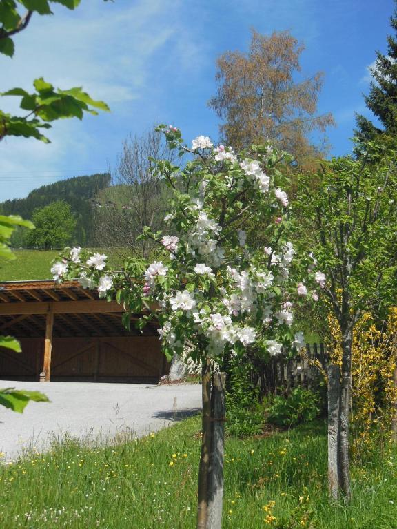 Haus Schoenleiten Ваграйн Екстериор снимка